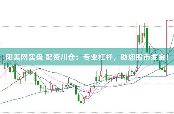 阳美网实盘 配资川仓：专业杠杆，助您股市掘金！