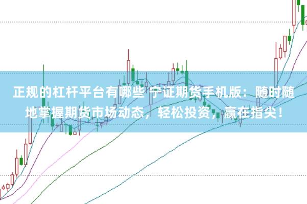 正规的杠杆平台有哪些 宁证期货手机版：随时随地掌握期货市场动态，轻松投资，赢在指尖！