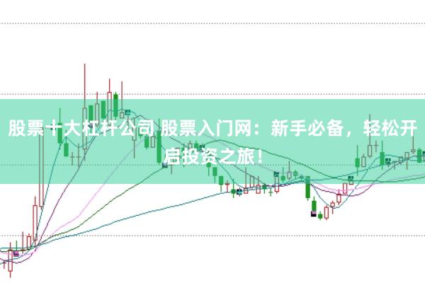 股票十大杠杆公司 股票入门网：新手必备，轻松开启投资之旅！