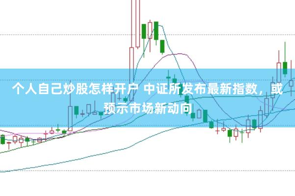 个人自己炒股怎样开户 中证所发布最新指数，或预示市场新动向