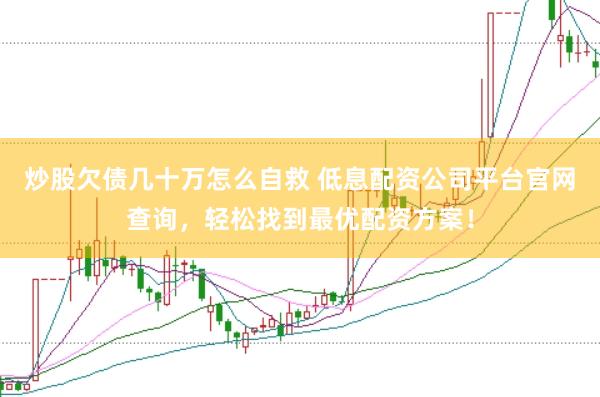 炒股欠债几十万怎么自救 低息配资公司平台官网查询，轻松找到最优配资方案！