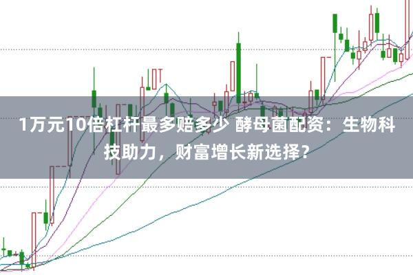 1万元10倍杠杆最多赔多少 酵母菌配资：生物科技助力，财富增长新选择？
