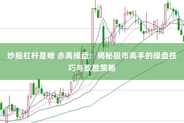 炒股杠杆是啥 赤禹操盘：揭秘股市高手的操盘技巧与致胜策略