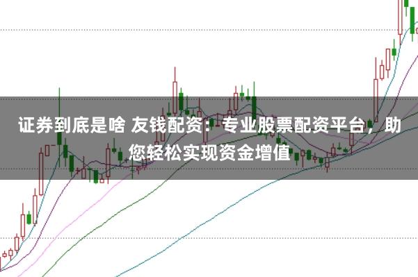 证券到底是啥 友钱配资：专业股票配资平台，助您轻松实现资金增值