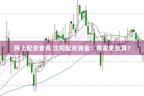 网上配资查询 沈阳配资佣金：哪家更划算？