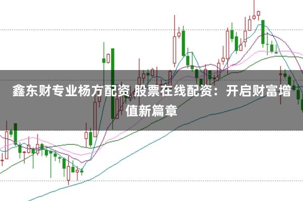 鑫东财专业杨方配资 股票在线配资：开启财富增值新篇章