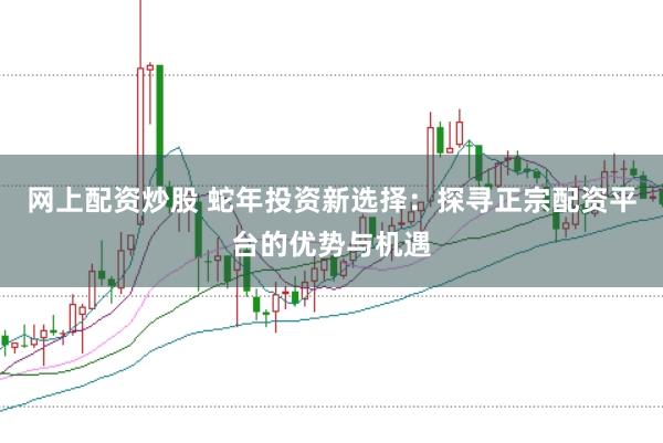 网上配资炒股 蛇年投资新选择：探寻正宗配资平台的优势与机遇