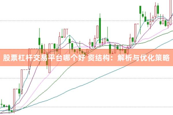 股票杠杆交易平台哪个好 资结构：解析与优化策略