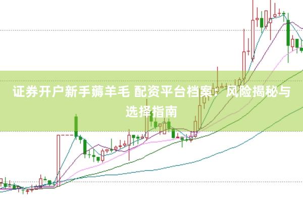 证券开户新手薅羊毛 配资平台档案：风险揭秘与选择指南