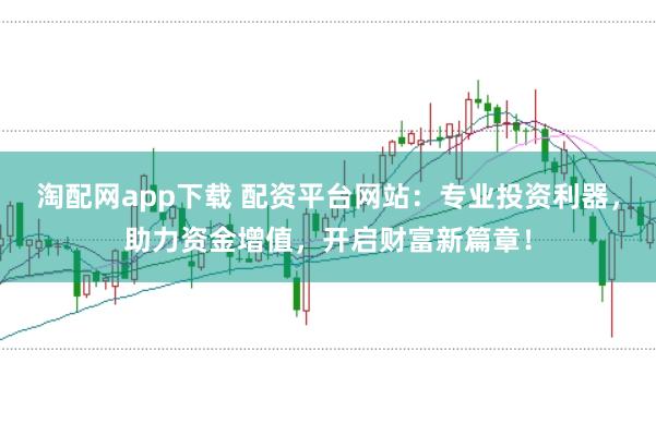 淘配网app下载 配资平台网站：专业投资利器，助力资金增值，开启财富新篇章！