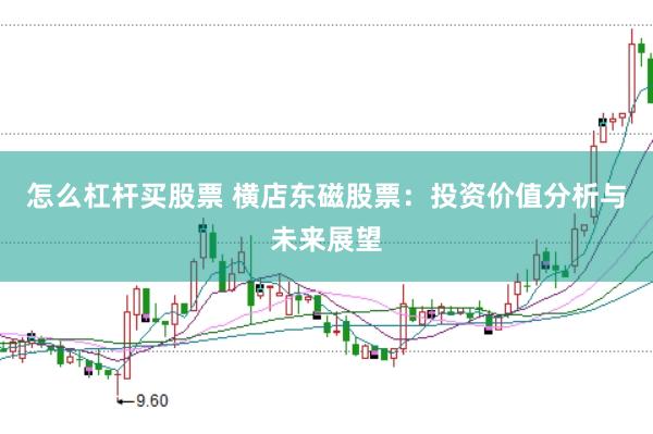 怎么杠杆买股票 横店东磁股票：投资价值分析与未来展望
