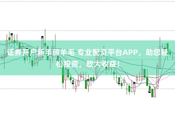 证券开户新手薅羊毛 专业配资平台APP，助您轻松投资，放大收益！