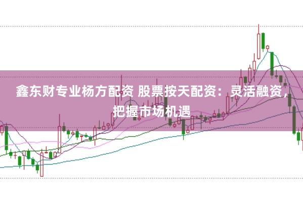 鑫东财专业杨方配资 股票按天配资：灵活融资，把握市场机遇