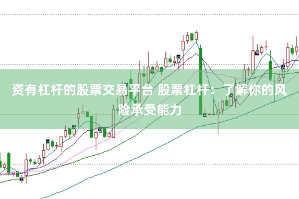 资有杠杆的股票交易平台 股票杠杆：了解你的风险承受能力
