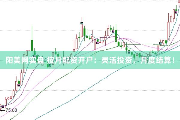 阳美网实盘 按月配资开户:灵活投资,月度结算!