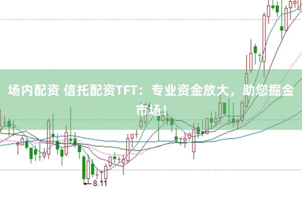 场内配资 信托配资TFT：专业资金放大，助您掘金市场！