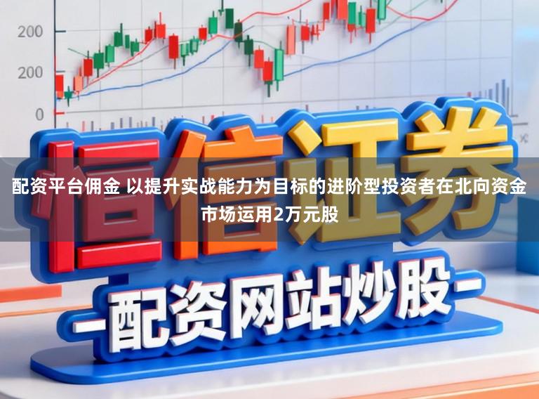 配资平台佣金 以提升实战能力为目标的进阶型投资者在北向资金市场运用2万元股