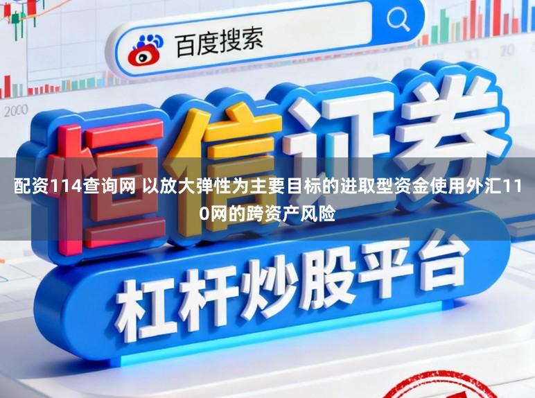 配资114查询网 以放大弹性为主要目标的进取型资金使用外汇110网的跨资产风险