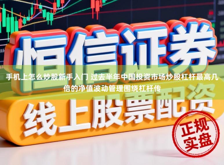 手机上怎么炒股新手入门 过去半年中国投资市场炒股杠杆最高几倍的净值波动管理围绕杠杆传