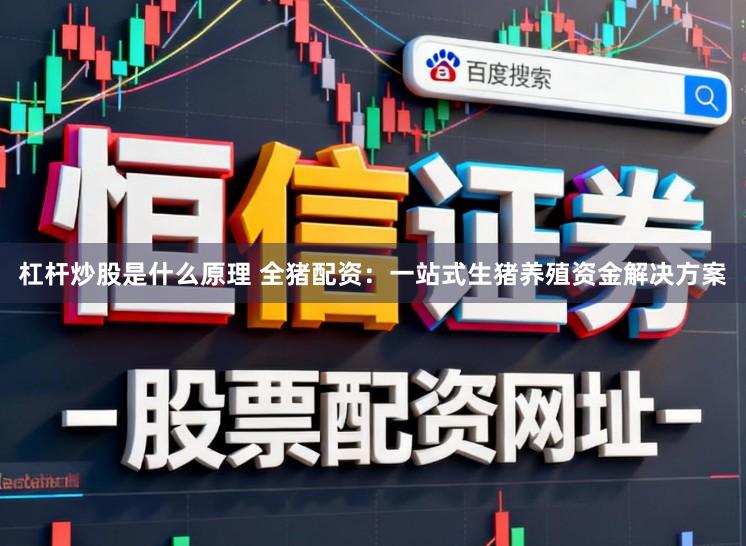 杠杆炒股是什么原理 全猪配资：一站式生猪养殖资金解决方案
